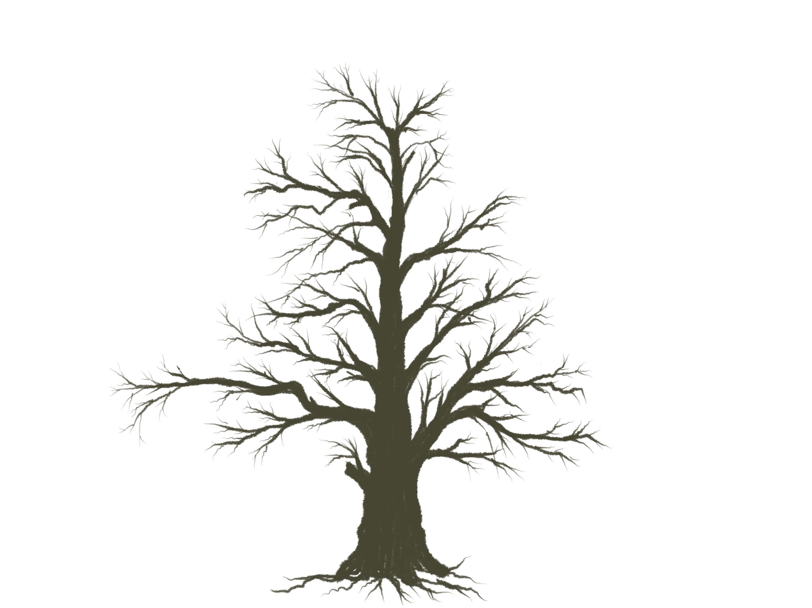 木の描き方 下描き不要 バランスの良い木がサクッと描けてしまう枝ぶりの法則